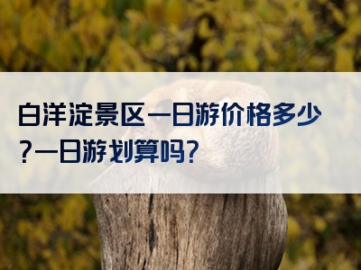 白洋淀景区一日游价格多少？一日游划算吗？