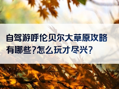 自驾游呼伦贝尔大草原攻略有哪些？怎么玩才尽兴？
