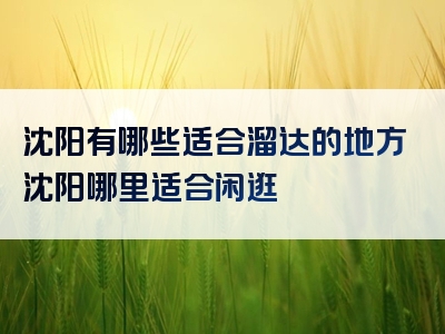 沈阳有哪些适合溜达的地方沈阳哪里适合闲逛