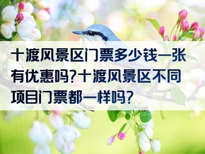 十渡风景区门票多少钱一张有优惠吗？十渡风景区不同项目门票都一样吗？