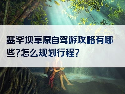 塞罕坝草原自驾游攻略有哪些？怎么规划行程？
