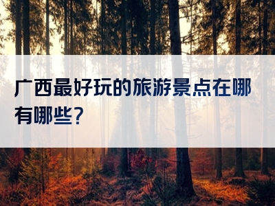广西最好玩的旅游景点在哪有哪些？