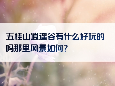 五桂山逍遥谷有什么好玩的吗那里风景如何?