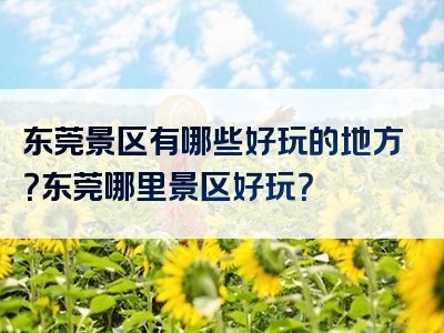 东莞景区有哪些好玩的地方？东莞哪里景区好玩？