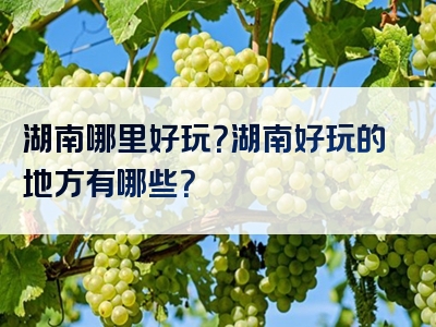 湖南哪里好玩？湖南好玩的地方有哪些？