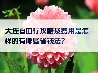 大连自由行攻略及费用是怎样的有哪些省钱法？