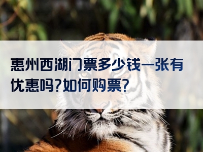惠州西湖门票多少钱一张有优惠吗？如何购票？