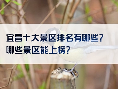 宜昌十大景区排名有哪些？哪些景区能上榜？