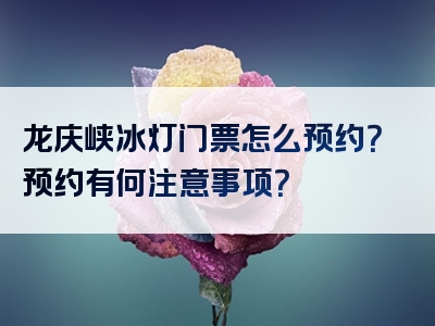 龙庆峡冰灯门票怎么预约？预约有何注意事项？