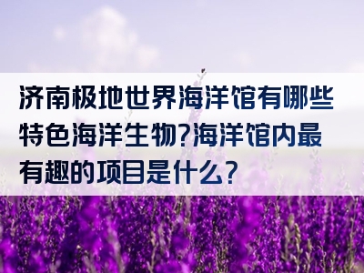济南极地世界海洋馆有哪些特色海洋生物？海洋馆内最有趣的项目是什么？