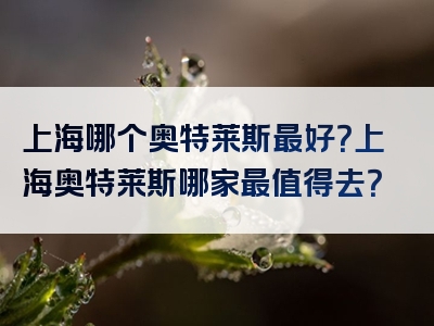 上海哪个奥特莱斯最好？上海奥特莱斯哪家最值得去？