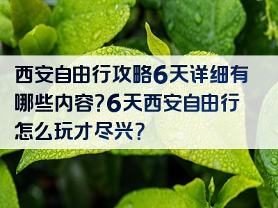西安自由行攻略6天详细有哪些内容？6天西安自由行怎么玩才尽兴？