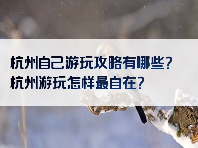 杭州自己游玩攻略有哪些？杭州游玩怎样最自在？