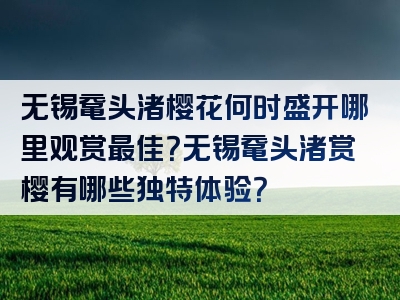 无锡鼋头渚樱花何时盛开哪里观赏最佳？无锡鼋头渚赏樱有哪些独特体验？