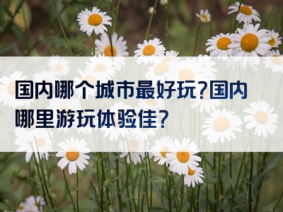 国内哪个城市最好玩？国内哪里游玩体验佳？