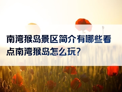 南湾猴岛景区简介有哪些看点南湾猴岛怎么玩？