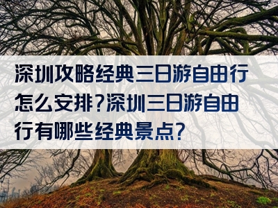 深圳攻略经典三日游自由行怎么安排？深圳三日游自由行有哪些经典景点？
