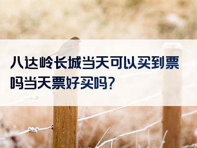 八达岭长城当天可以买到票吗当天票好买吗？