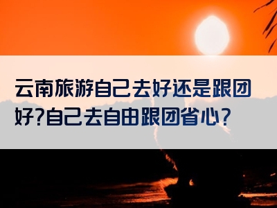 云南旅游自己去好还是跟团好？自己去自由跟团省心？