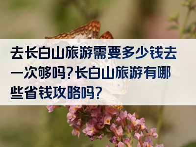 去长白山旅游需要多少钱去一次够吗？长白山旅游有哪些省钱攻略吗？