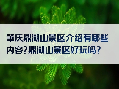 肇庆鼎湖山景区介绍有哪些内容？鼎湖山景区好玩吗？