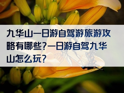 九华山一日游自驾游旅游攻略有哪些？一日游自驾九华山怎么玩？