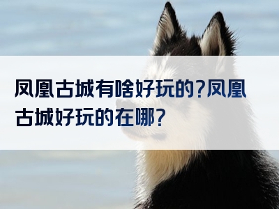 凤凰古城有啥好玩的？凤凰古城好玩的在哪？