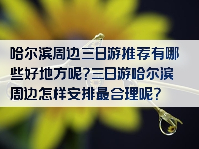 哈尔滨周边三日游推荐有哪些好地方呢？三日游哈尔滨周边怎样安排最合理呢？
