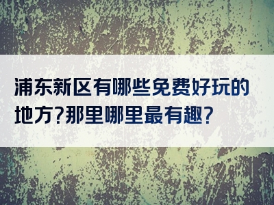 浦东新区有哪些免费好玩的地方？那里哪里最有趣？