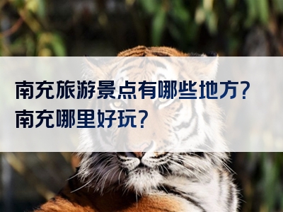南充旅游景点有哪些地方？南充哪里好玩？
