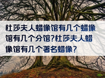 杜莎夫人蜡像馆有几个蜡像馆有几个分馆？杜莎夫人蜡像馆有几个著名蜡像？