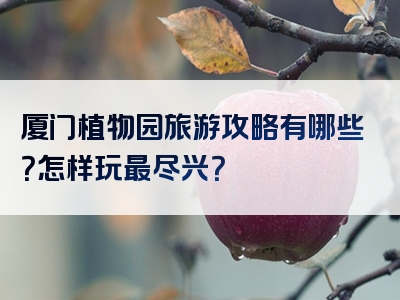 厦门植物园旅游攻略有哪些？怎样玩最尽兴？