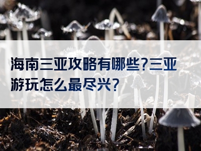 海南三亚攻略有哪些？三亚游玩怎么最尽兴？