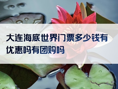 大连海底世界门票多少钱有优惠吗有团购吗