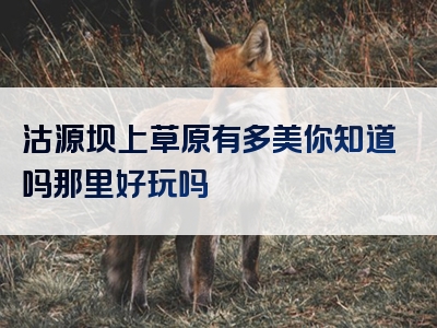 沽源坝上草原有多美你知道吗那里好玩吗