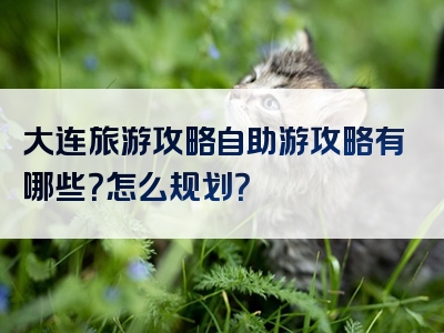 大连旅游攻略自助游攻略有哪些？怎么规划？
