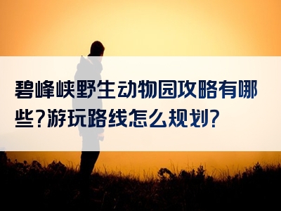 碧峰峡野生动物园攻略有哪些？游玩路线怎么规划？