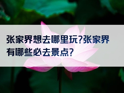 张家界想去哪里玩？张家界有哪些必去景点？
