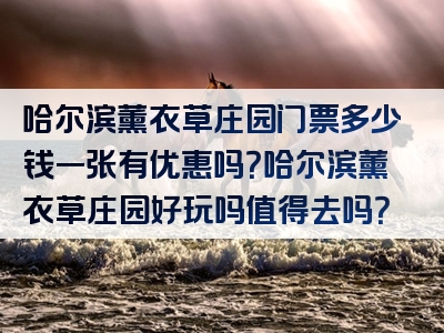 哈尔滨薰衣草庄园门票多少钱一张有优惠吗？哈尔滨薰衣草庄园好玩吗值得去吗？