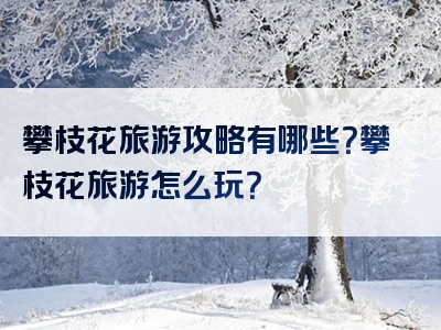 攀枝花旅游攻略有哪些？攀枝花旅游怎么玩？