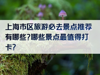 上海市区旅游必去景点推荐有哪些？哪些景点最值得打卡？