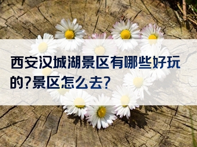 西安汉城湖景区有哪些好玩的？景区怎么去？