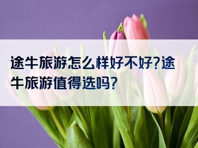 途牛旅游怎么样好不好？途牛旅游值得选吗？
