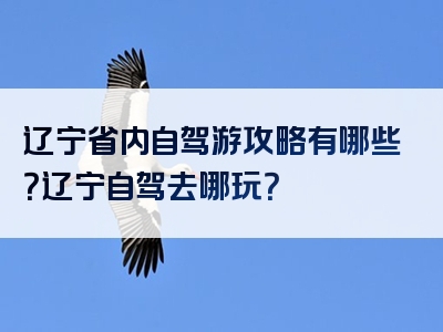 辽宁省内自驾游攻略有哪些？辽宁自驾去哪玩？