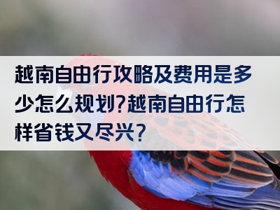 越南自由行攻略及费用是多少怎么规划？越南自由行怎样省钱又尽兴？