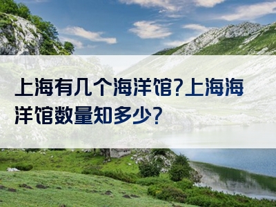 上海有几个海洋馆？上海海洋馆数量知多少？