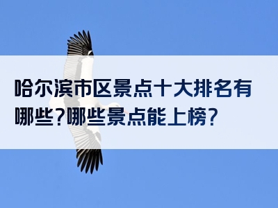 哈尔滨市区景点十大排名有哪些？哪些景点能上榜？