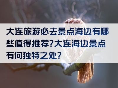 大连旅游必去景点海边有哪些值得推荐？大连海边景点有何独特之处？