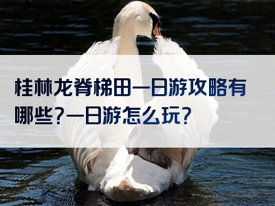 桂林龙脊梯田一日游攻略有哪些？一日游怎么玩？