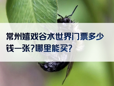 常州嬉戏谷水世界门票多少钱一张？哪里能买？